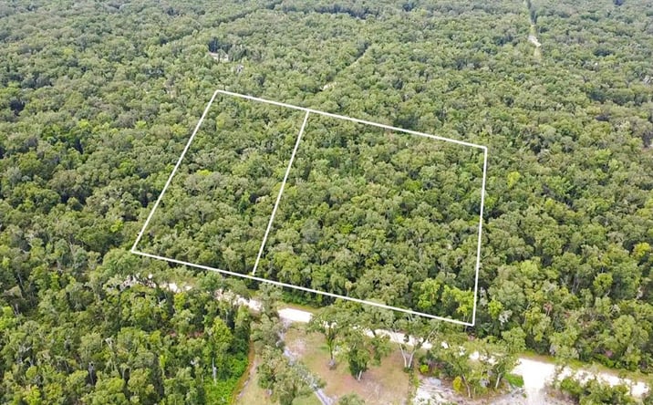 Pictures of Land property located at NE 325th Ave, Old Town, FL 32680 for sales - image #1