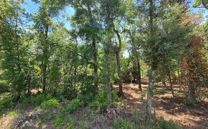 Pictures of Land property located at NE 594th St, Old Town, FL 32680 for sales - image #1