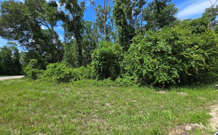 Pictures of Land property located at NE 151st Ave, Old Town, FL 32628 for sales - image #1