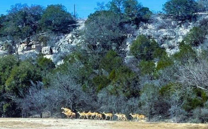 Pictures of Land property located at 3660 S St Andrews, Junction, TX 76849 for sales - image #1