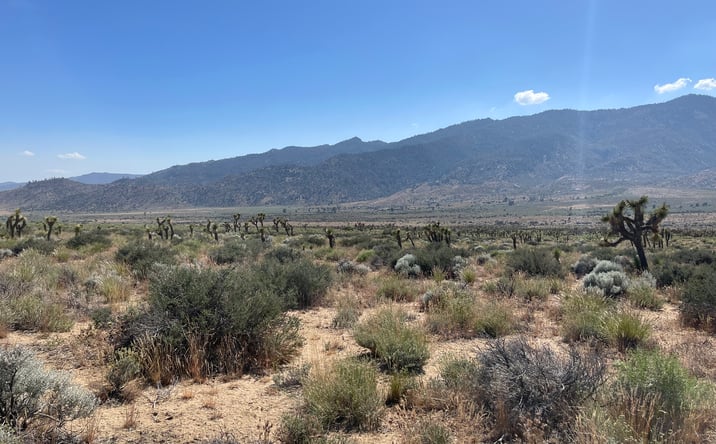 Pictures of Land property located at Kelso Valley Rd, Weldon, CA 93283 for sales - image #1