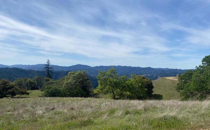 Pictures of Land property located at 19010 Hulbert Rd, Yorkville, CA 95494 for sales - image #1