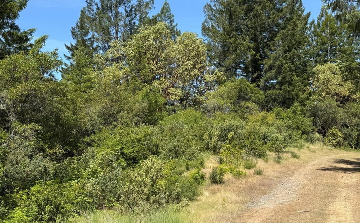 Pictures of Land property located at Moore Homestead Rd, Philo, CA 95466 for sales - image #1