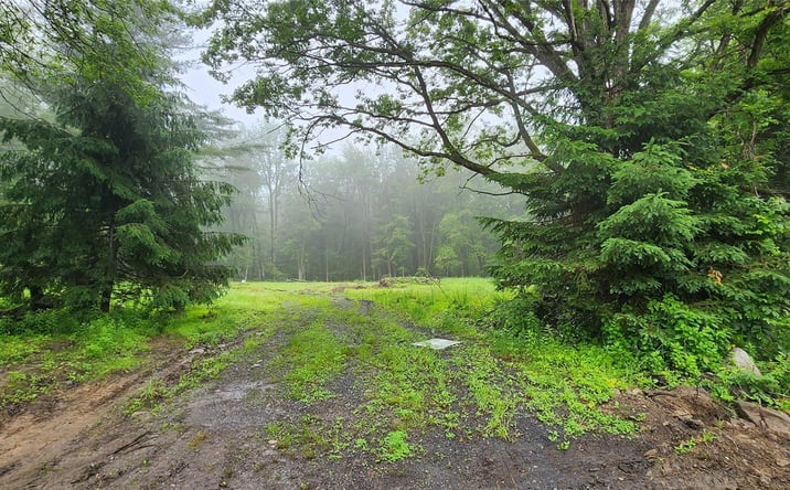 Pictures of Land property located at 127 Benneywater Road, Greenville, NY 12771 for sales - image #1