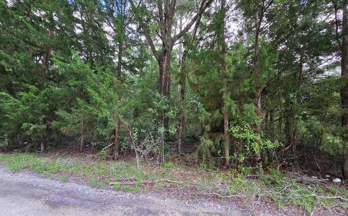 Pictures of Land property located at SE 84th Ln, Trenton, FL 32693 for sales - image #1