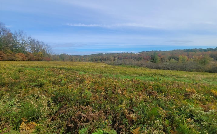 Pictures of Land, Special Purpose property located at Mongaup Road, Fallsburg, NY 12747 for sales - image #1