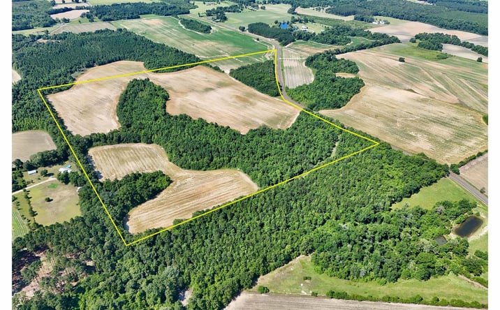 Pictures of Land property located at 0 Anitoch Church Rd, Ashford, AL 36312 for sales - image #1