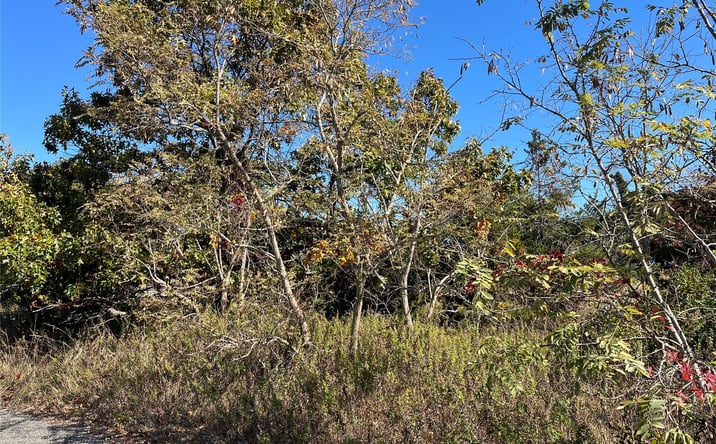 Pictures of Land property located at 119 Creek Road, Riverhead, NY 11792 for sales - image #1