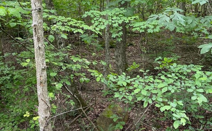 Pictures of Land property located at 0 Sandlick Road, Princeton, WV 24740 for sales - image #1