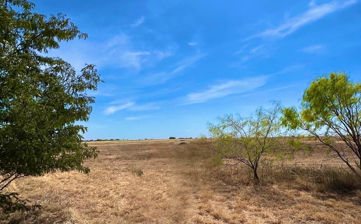 Pictures of Land property located at 386 County Road 3368, Hubbard, TX 76648 for sales - image #1