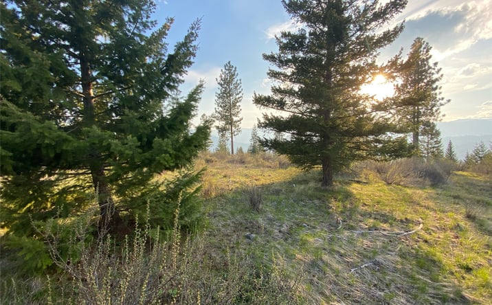 Pictures of Land property located at Lot 17 Bighorn Bluff Road, Plains, MT 59859 for sales - image #1