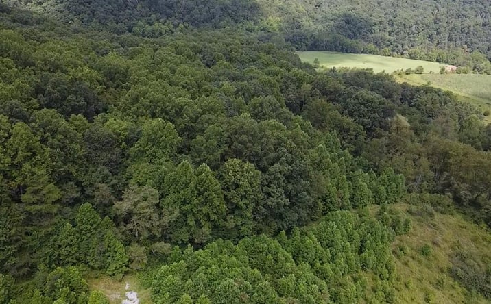 Pictures of Land, Multifamily property located at 0 Scenic Dr., Rich Creek, VA 24147 for sales - image #1