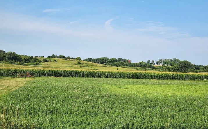 Pictures of Land property located at Prairie View Place, Rockford, IA 50468 for sales - image #1