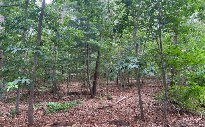 Pictures of Land property located at Lot 28 Scout Trail, Brookhaven, NY 11961 for sales - image #1