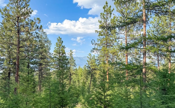 Pictures of Land property located at 148 Tiny Acres Trail, Rexford, MT 59930 for sales - image #1