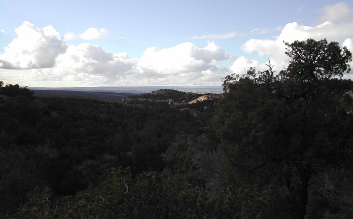 Pictures of Land property located at R4001858 ROAD 2777, Aztec, NM 87410 for sales - image #1