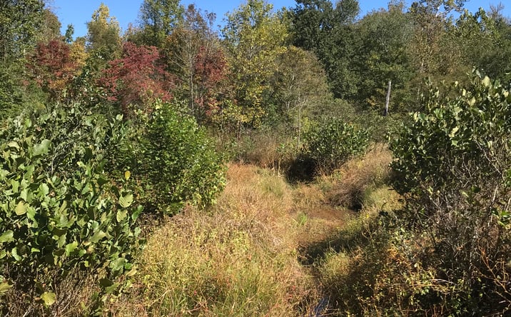 Pictures of Land property located at 5003 US-401, Youngsville, NC 27596 for sales - image #1