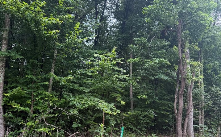 Pictures of Land property located at 1829 Eva Rd, Camden, TN 38320 for sales - image #1