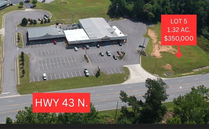 Pictures of Land property located at 4419 Highway 43 N, Northport, AL 35473 for sales - image #1