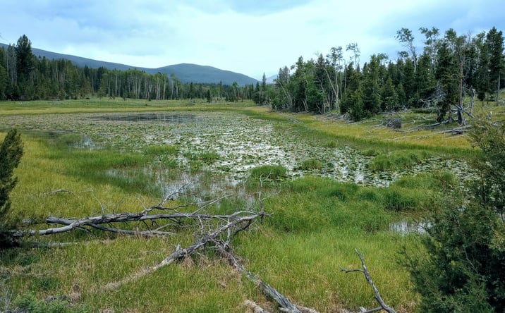 Pictures of Land property located at NHN Moose Lake Road Lot 3 TBD Moose Lake Rd. Montana, Philipsburg, MT 59858 for sales - image #1