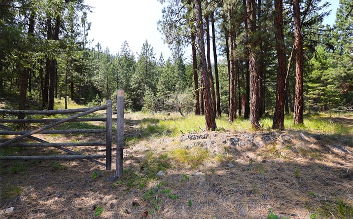 Pictures of Land property located at NHN Heir Loom Way, Plains, MT 59859 for sales - image #1