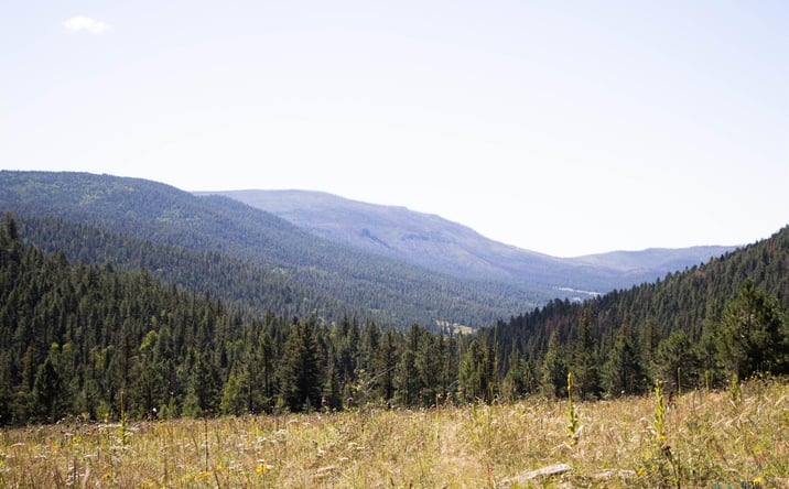 Pictures of Land property located at Luna Canyon Mora County, Chacon, NM 87713 for sales - image #1
