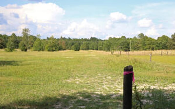 Pictures of Land property located at Tbd Poinsettia Rd, Wagener, SC 29164 for sales - image #1