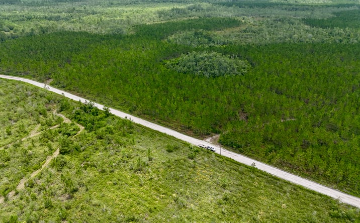 Pictures of Land property located at Fire Tower Road, Manor, GA 31550 for sales - image #1