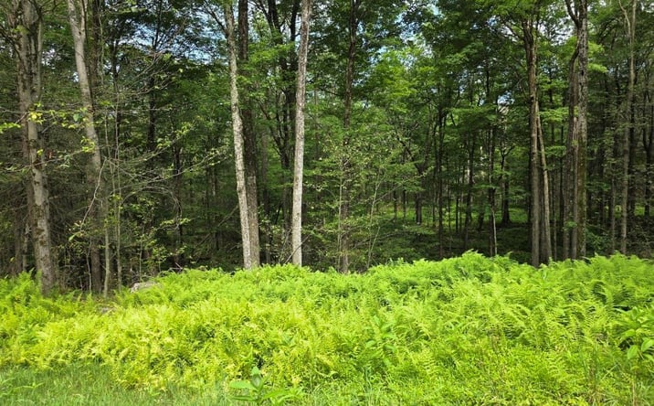 Pictures of Land property located at Gregory Road, Thompson, NY 12701 for sales - image #1
