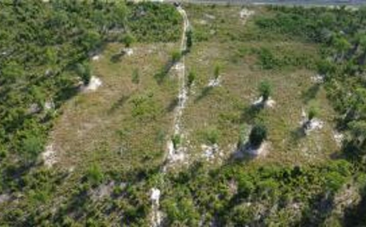 Pictures of Land property located at 922 Seivern Rd, Wagener, SC 29164 for sales - image #1