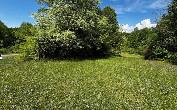 Pictures of Land, Multifamily property located at 00000 Virgilina Circle, Cana, VA 24317 for sales - image #1