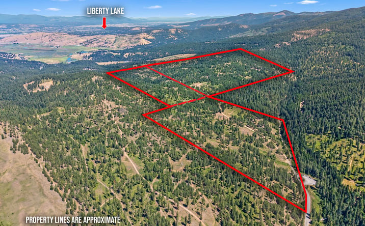 Pictures of Land property located at E Belmont Rd, Mica, WA 99023 for sales - image #1