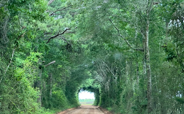 Pictures of Land property located at Millside Rd, Laurel Hill, FL 32567 for sales - image #1