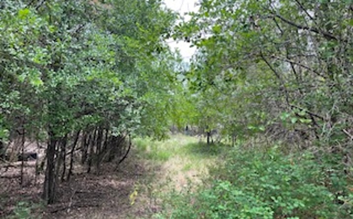 Pictures of Land property located at 1.46 +/- Acres in Early, Early, TX 76802 for sales - image #1