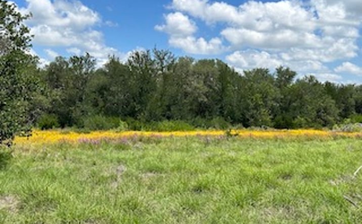 Pictures of Land property located at 93 +/- Acres near Lake Brownwood, Blanket, TX 76432 for sales - image #1