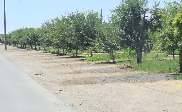 Pictures of Land property located at 2200 Encinal Road, Live Oak, CA 95953 for sales - image #1