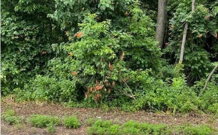 Pictures of Land property located at 150 Jackson Road, Berlin, NJ 08009 for sales - image #1