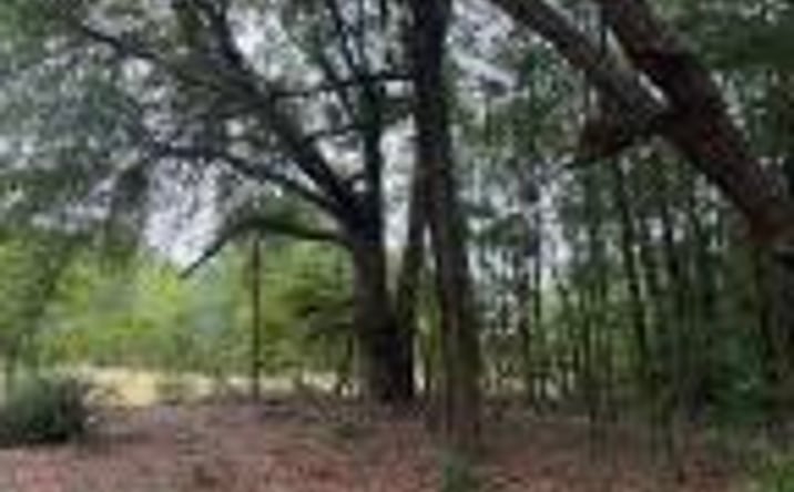 Pictures of Land property located at Qaf C2 Rainbow Drive, Wagener, SC 29164 for sales - image #1