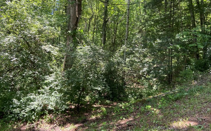 Pictures of Land property located at TBD Greenwood Rd, Bluefield, WV 24701 for sales - image #1