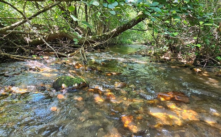 Pictures of Land, Multifamily property located at TBD Wisler Dr, Fancy Gap, VA 24328 for sales - image #1