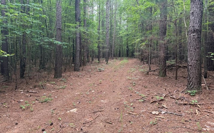 Pictures of Land property located at 1300 Greenfield Drive, Gladstone, VA 24553 for sales - image #1