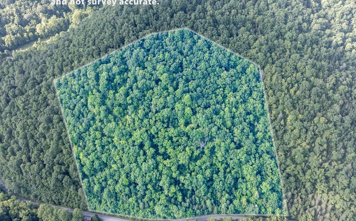 Pictures of Land property located at TBD Dry Fork Road, North Tazewell, VA 24630 for sales - image #1