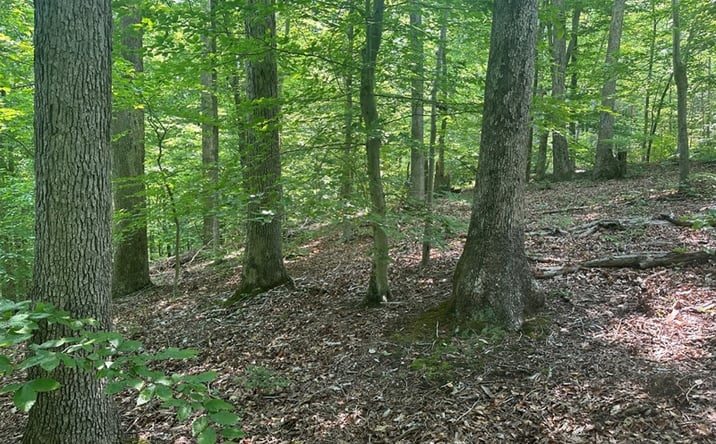 Pictures of Land property located at Lot 31-35 Occoneechee Drive W, Clarksville, VA 23927 for sales - image #1