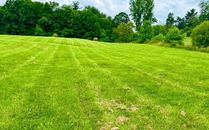 Pictures of Land property located at 0 Indian Hills Road, Mount Vernon, OH 43050 for sales - image #1