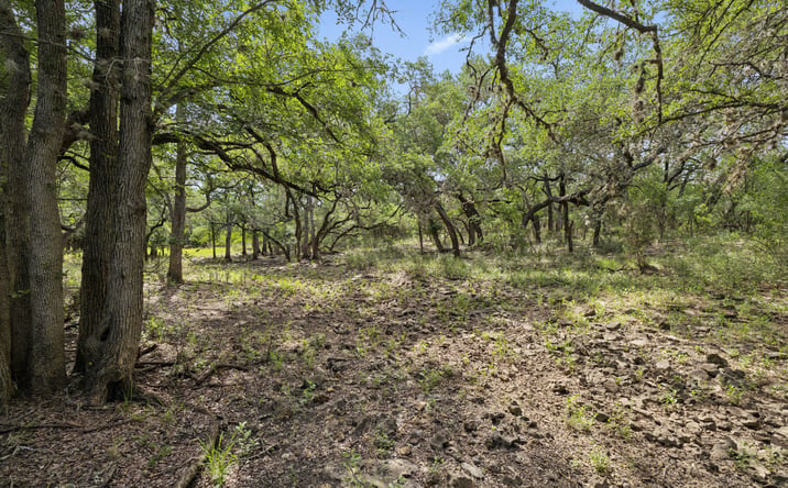 Pictures of Land property located at Hunting Ranch, Medina, TX 78861 for sales - image #1
