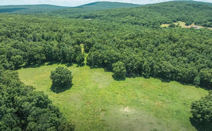 Pictures of Land property located at 1039 Highway NN, Ironton, MO 63650 for sales - image #1