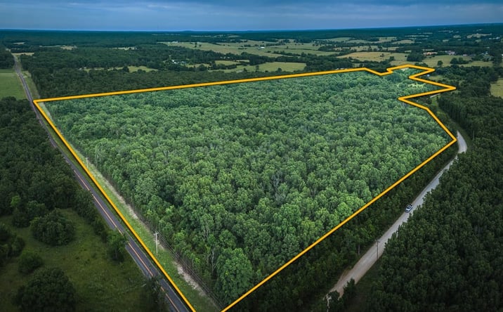 Pictures of Land property located at 000 Highway CC, Licking, MO 65542 for sales - image #1
