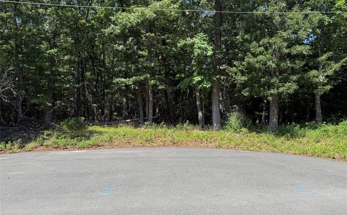 Pictures of Land property located at Park Avenue, Brookhaven, NY 11777 for sales - image #1