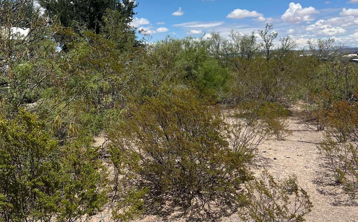 Pictures of Land property located at 214 Montreal Avenue, Elephant Butte, NM 87935 for sales - image #1