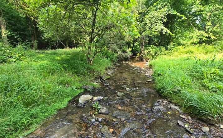 Pictures of Land property located at xxxx Willie Groce Road, Glasgow, KY 42141 for sales - image #1
